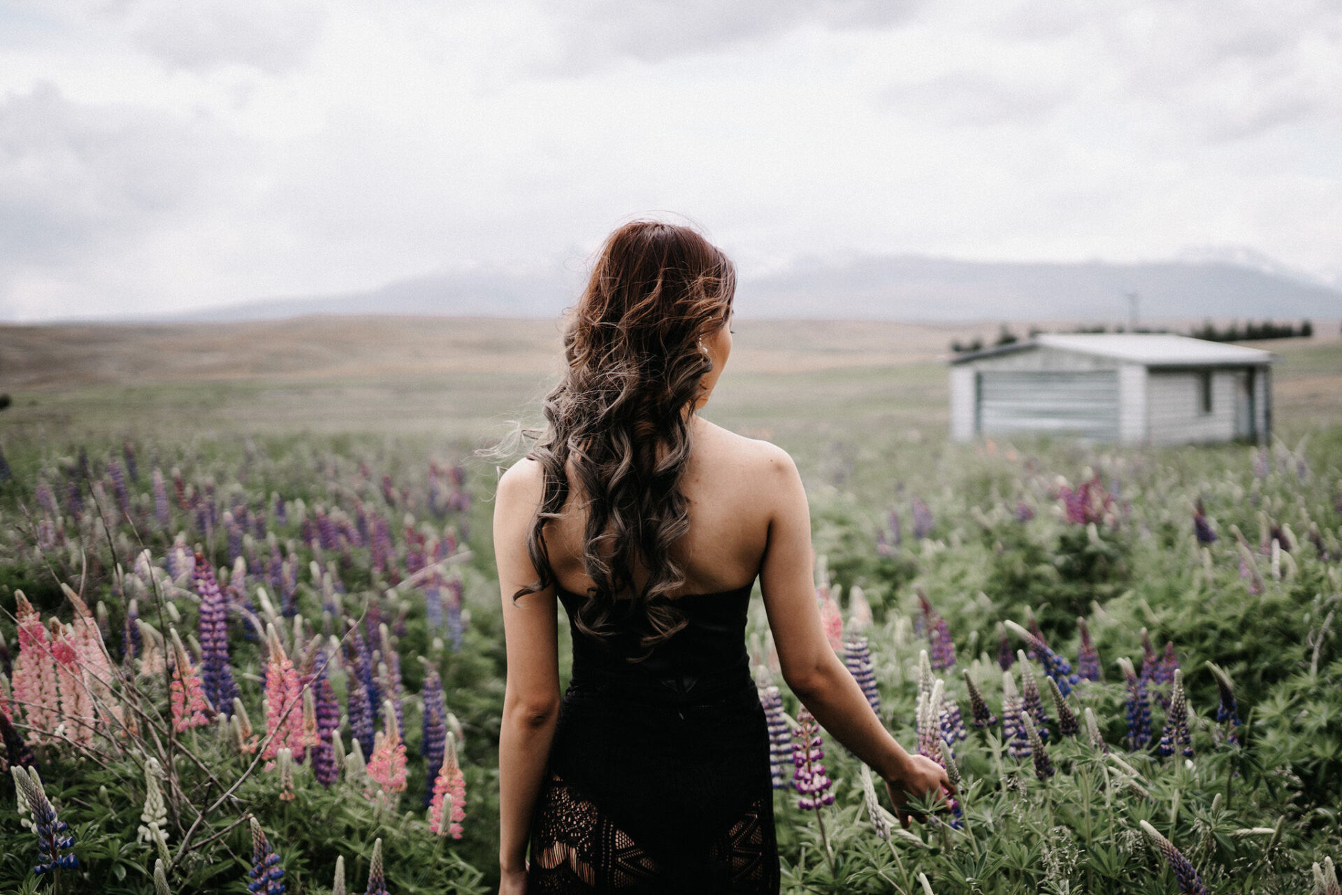 jane-new-zealand-lake-tekapo-lupin